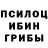 Галлюциногенные грибы MAGIC MUSHROOMS UVM!