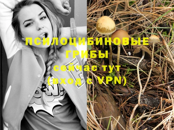 соль курить ск Верхний Тагил