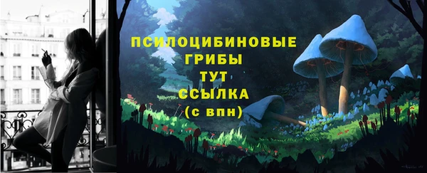 мдма Бородино
